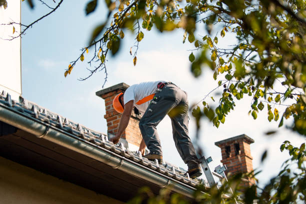 Best Storm Damage Roof Repair  in Douglas, GA
