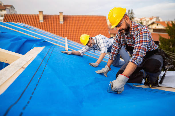 Quick and Trustworthy Emergency Roof Repair Services in Douglas, GA