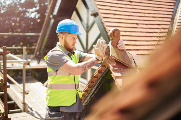 Best Roof Gutter Cleaning  in Douglas, GA
